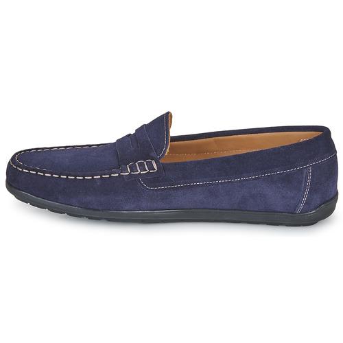 Casual Attitude - VELMO - Marine