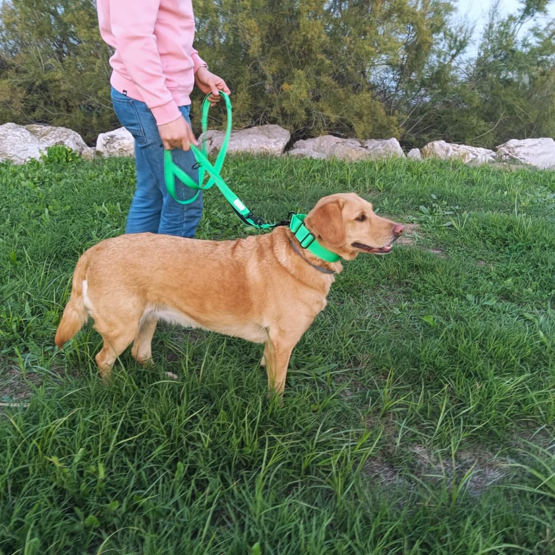 Guia para cães EGV com múltiplas posições e alça dupla de neoprene. Guia para cães que permite o uso com as mãos livres, 2,5 metros de comprimento. (Verde)