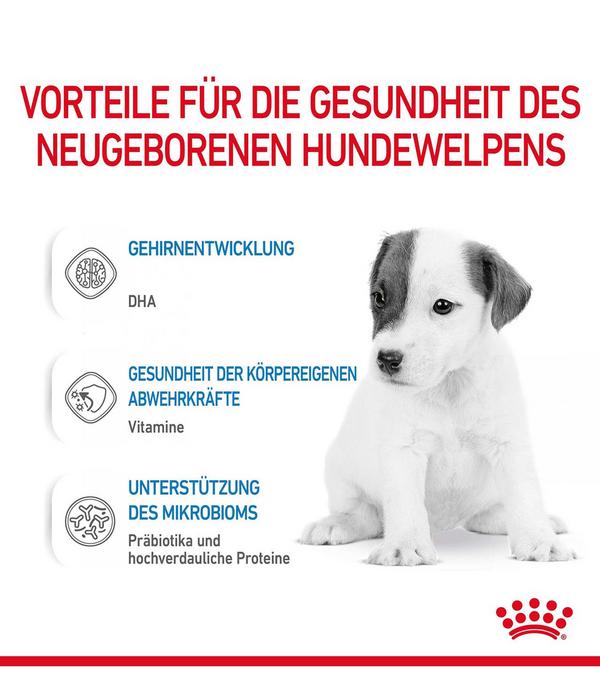 ROYAL CANIN® Babydog Milk