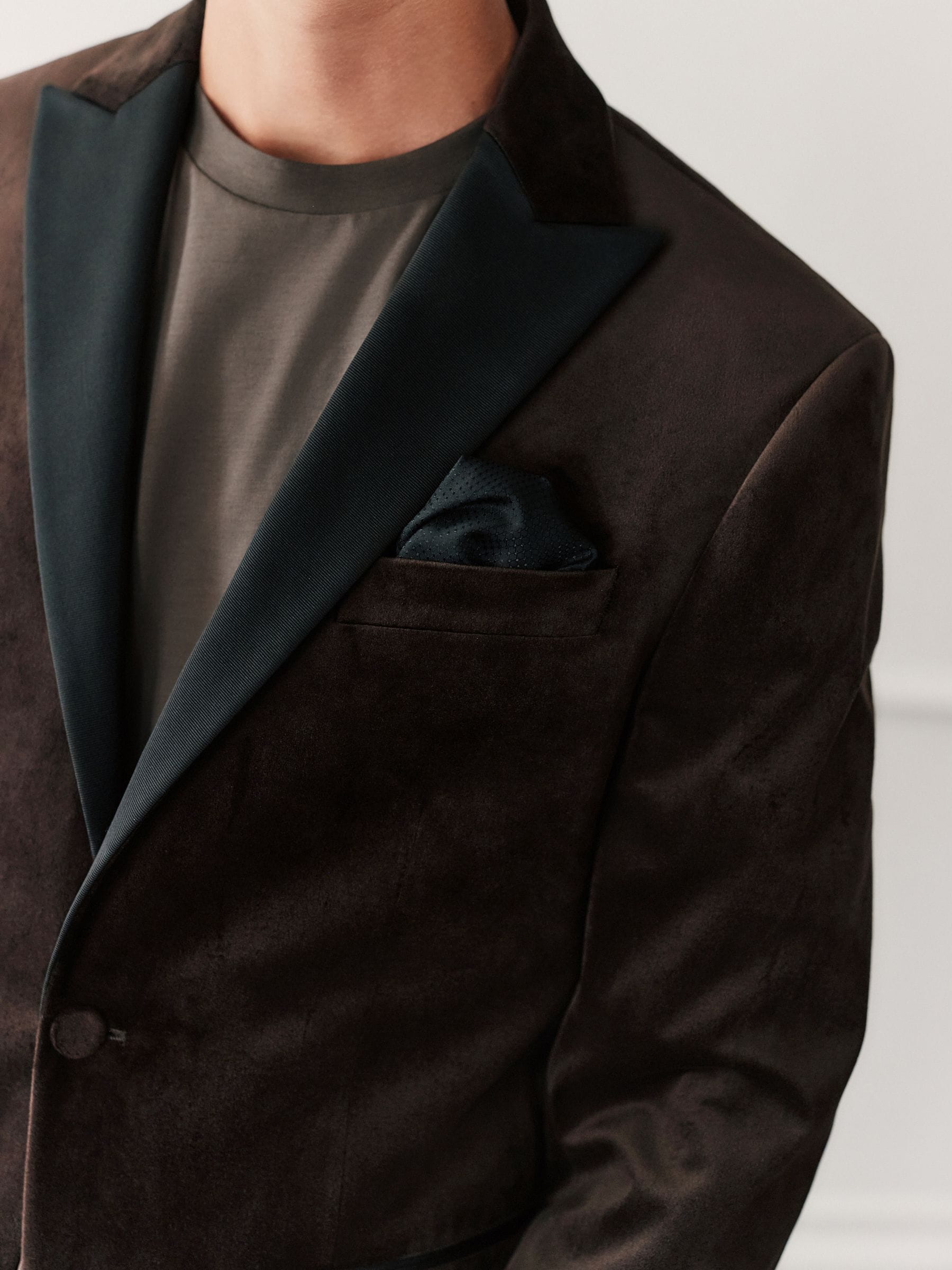 Bruin - Normale Pasvorm - Fluwelen blazer