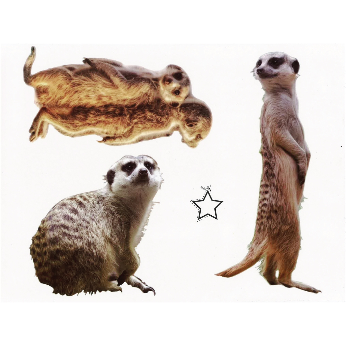 Stickers poubelles : divers motifs