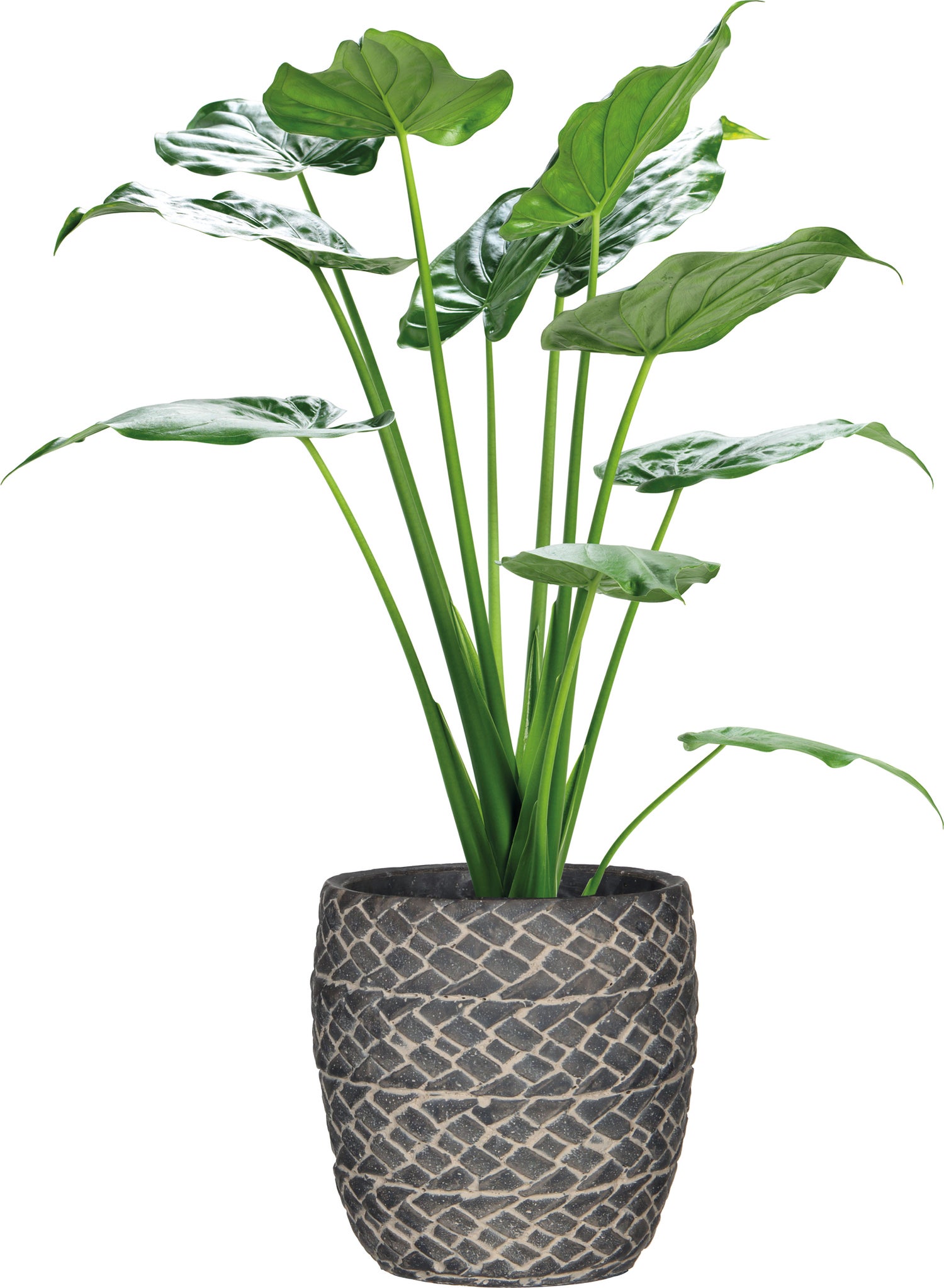Mica Decorations bloempot Alma donkergrijs D 13 H 13 cm
