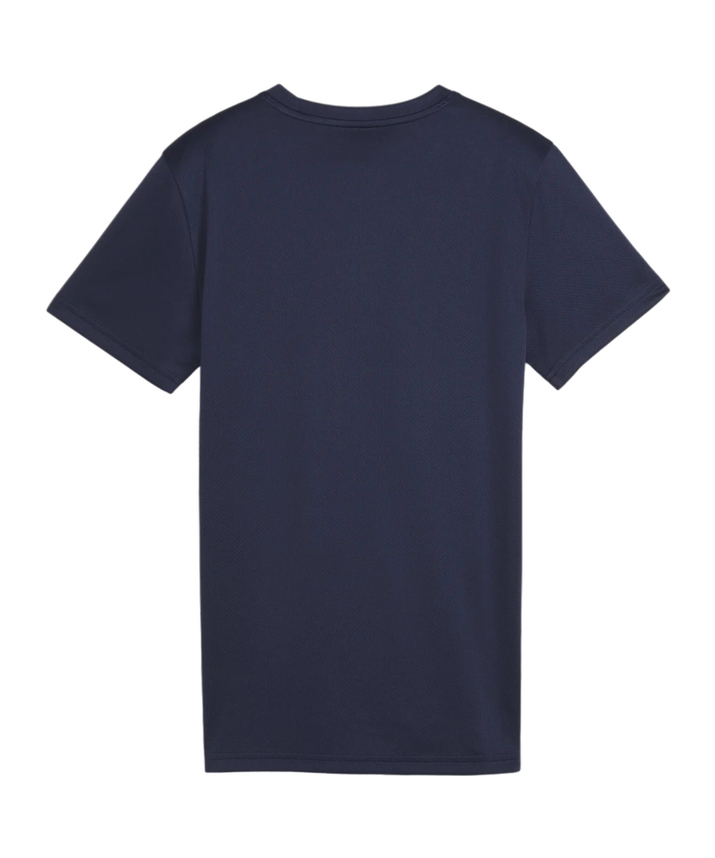 PUMA teamGOAL Trikot Damen Blau F06