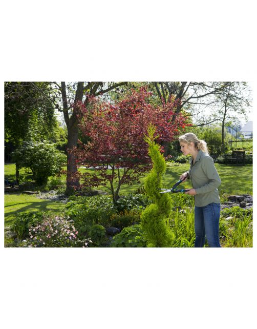 Gardena Precisioncut Buxusschaar - Heggenschaar -