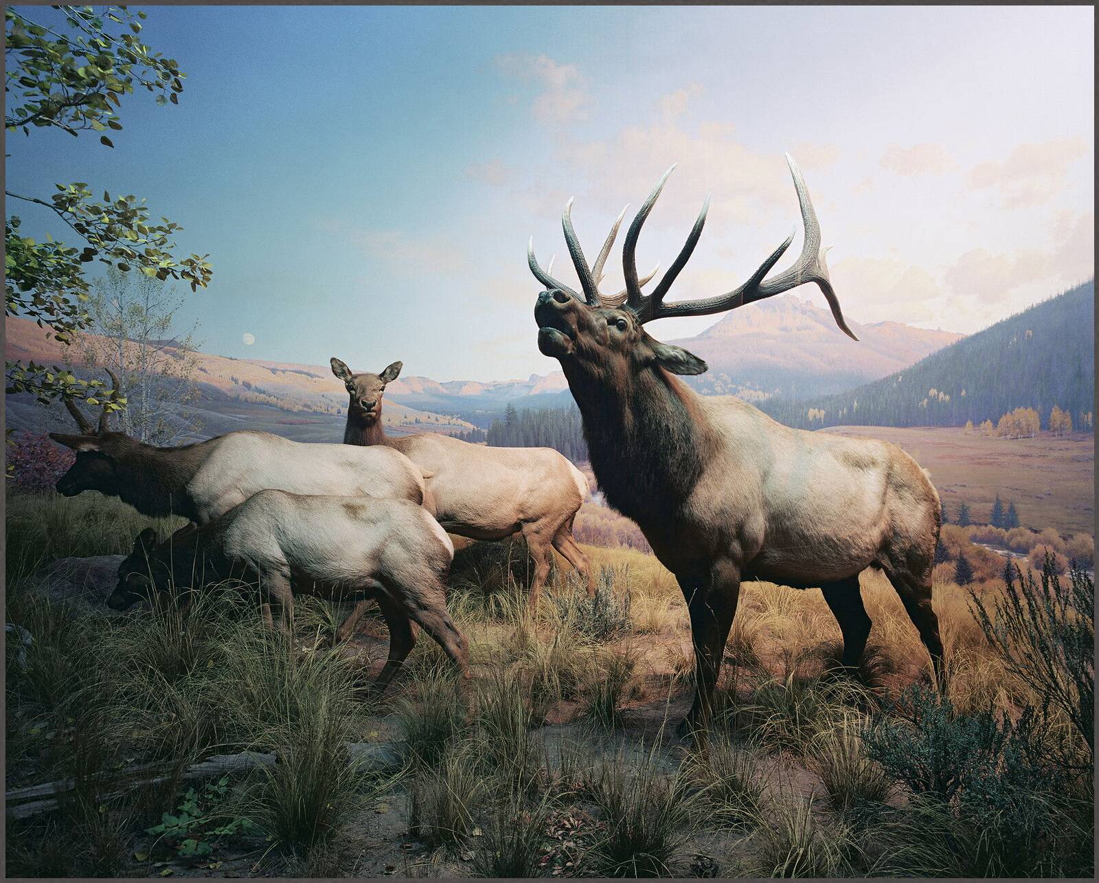 Diorama #1 by Henning Bock - Limited Edition. Edition of: 100. Signed.