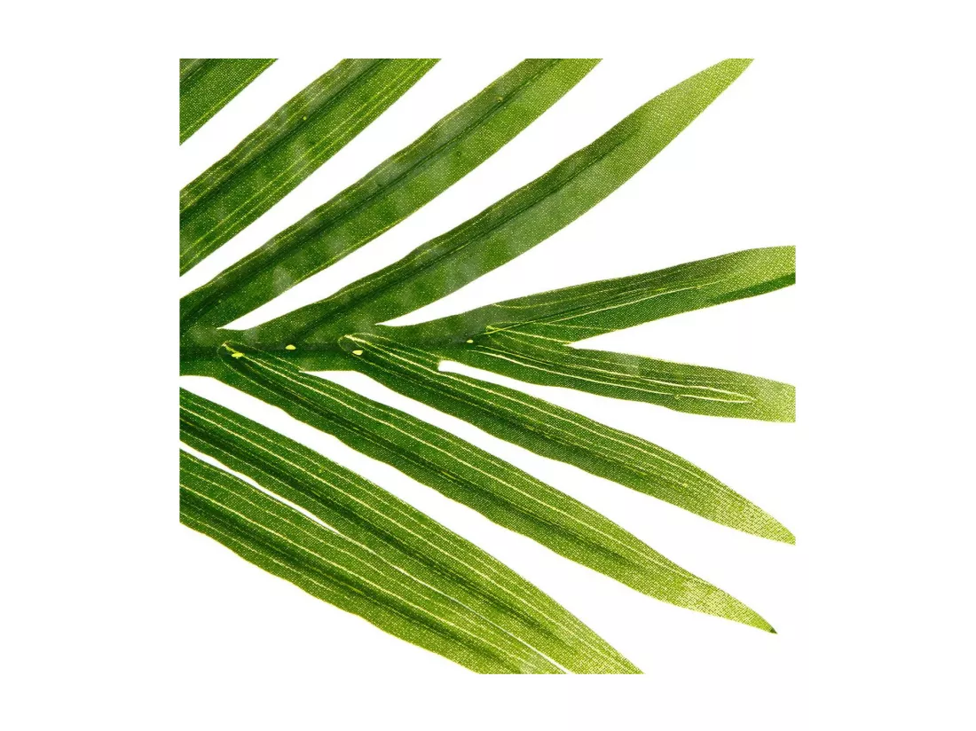 Plante Artificielle 