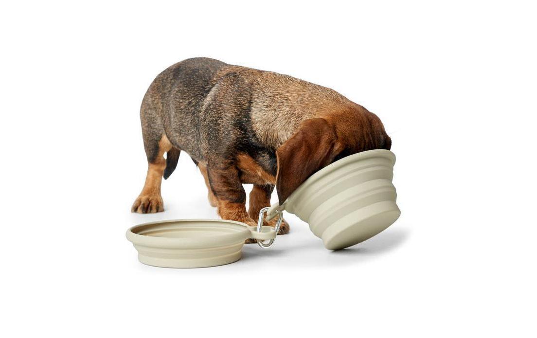 Reisenapf List aus SilikonReisenapf für Hunde, 1.1 l