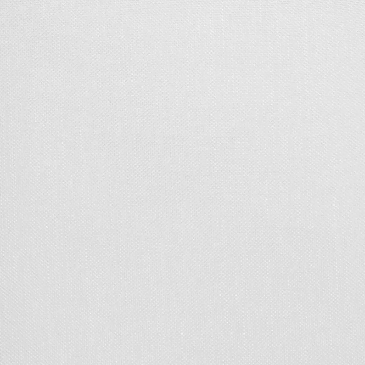 Tagvorhang Mousseline Silber
