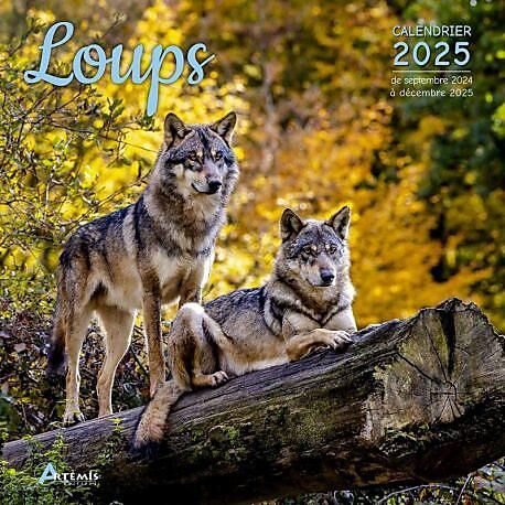 CARTOTHEQUE - CALENDRIER LOUPS 2025