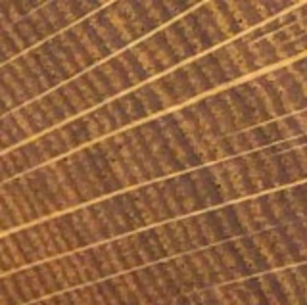 Schale OAK