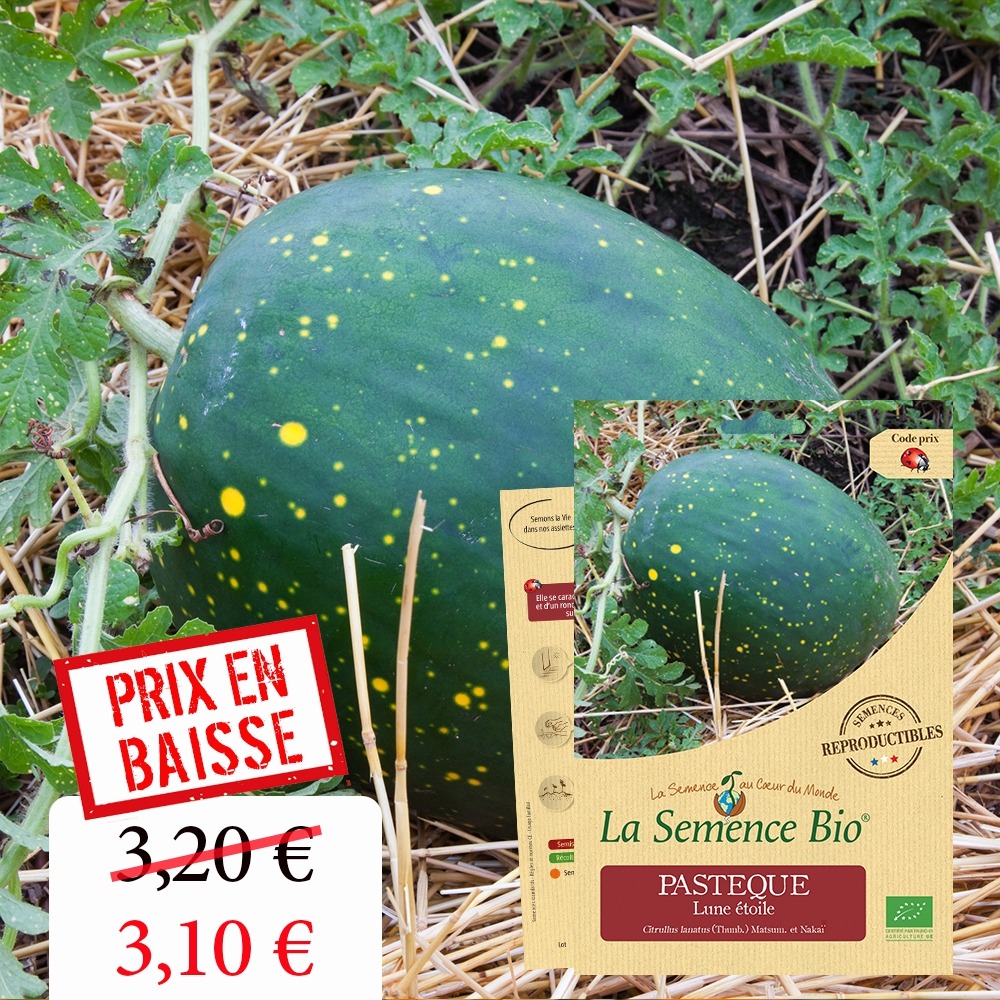 Pasteque lune étoile bio