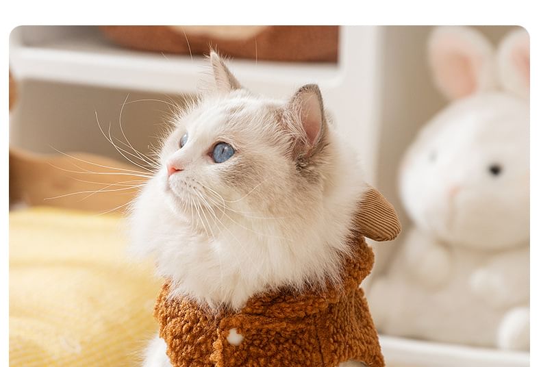 Cissilli - Chenille Pet Top met Berenoren en Capuchon
