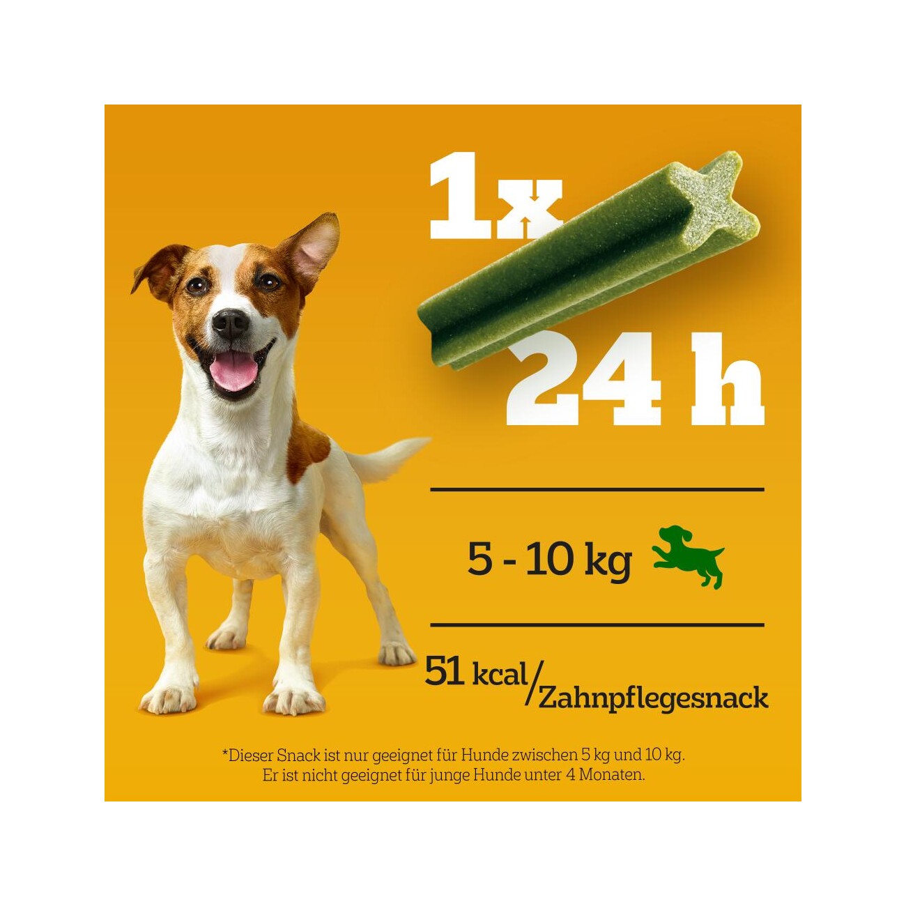 Pedigree Zahnpflege Dentastix Daily Fresh Multipack Mini, 35x