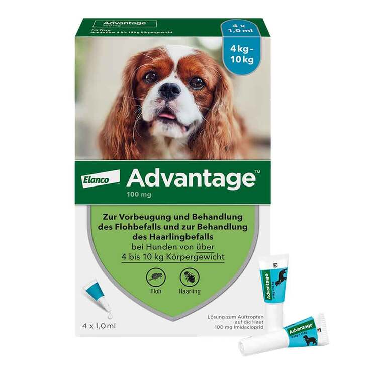 Advantage 100 für Hunde von 4-10 kg, 4 St
