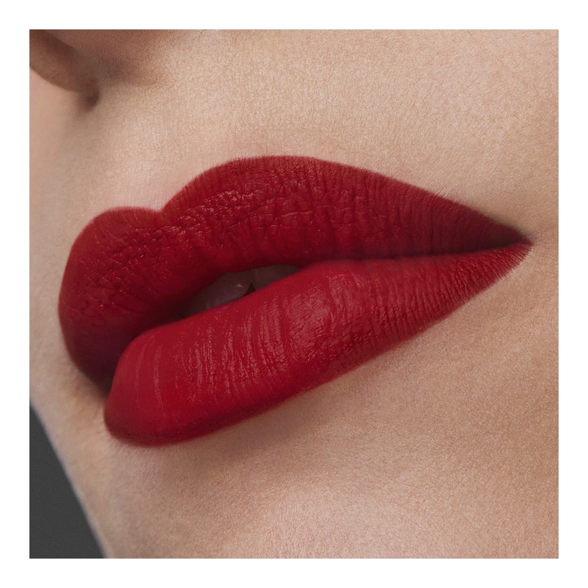 ESTEE LAUDER Pure Color Rouge à Lèvres Mat