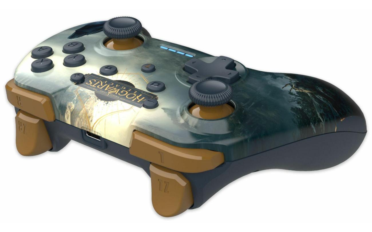 Switch Wireless Hogwarts Legacy Landscape Controller