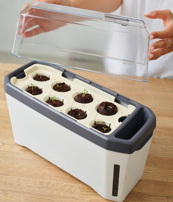 Gusta Garden Kräutertopf Harry Herbs mit