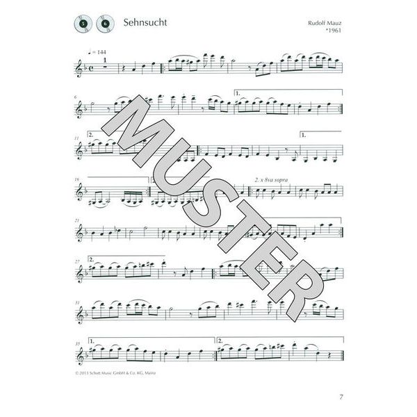Schott Klarinette Hobby Konzertband