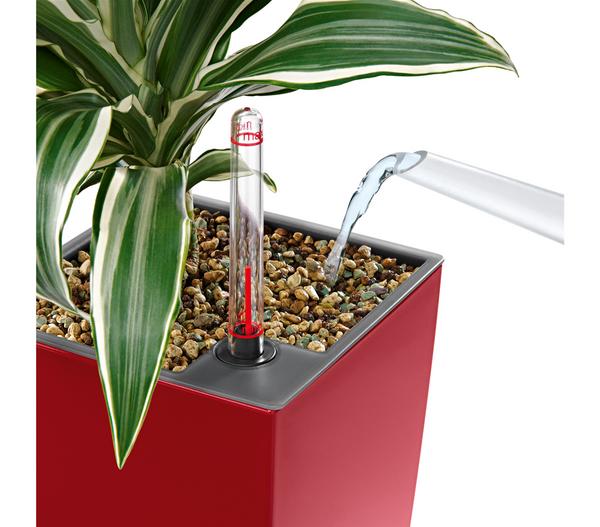 LECHUZA® MAXI/MINI-CUBI, All-in-One-Set,