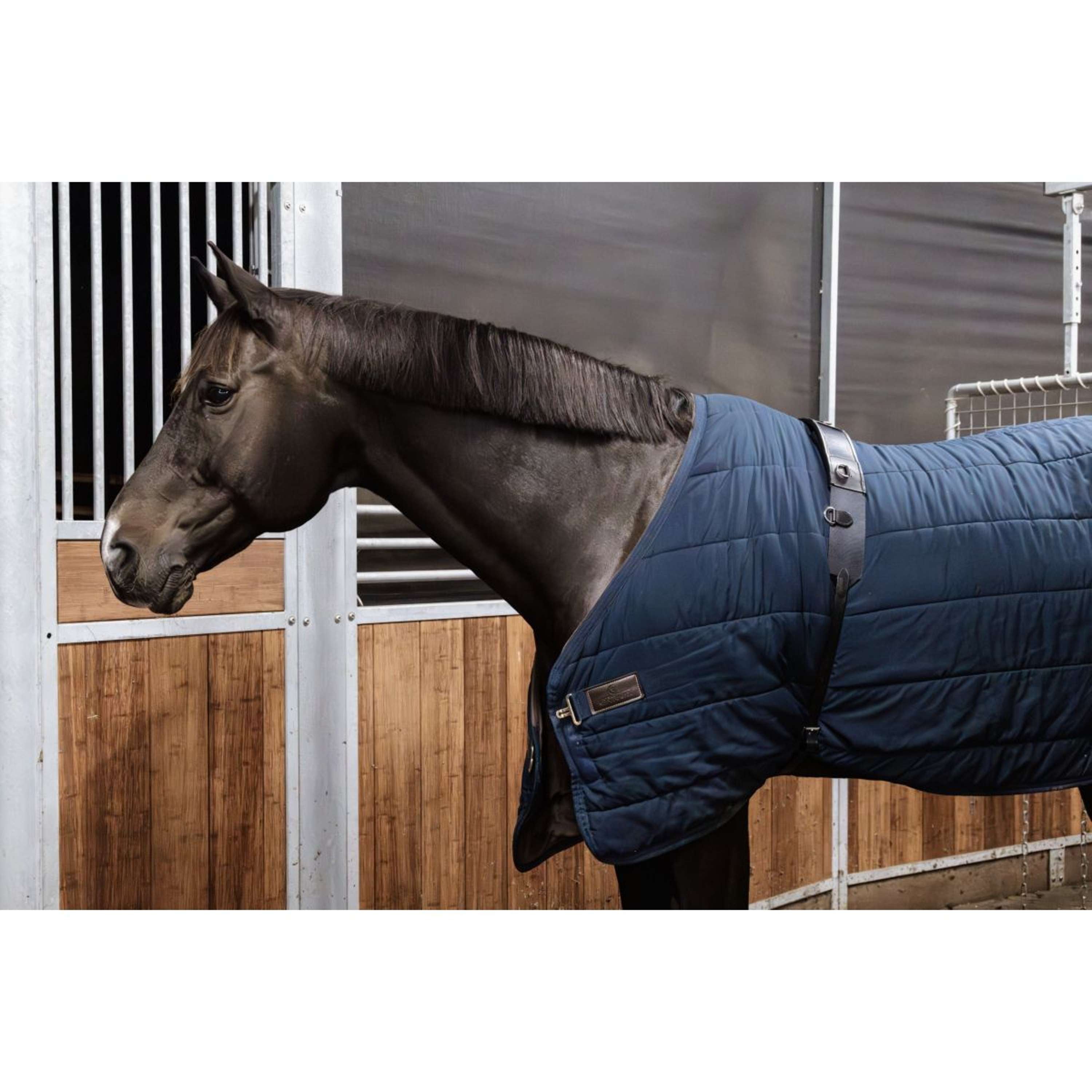 Kentucky Longeersingel Nylon Zwart