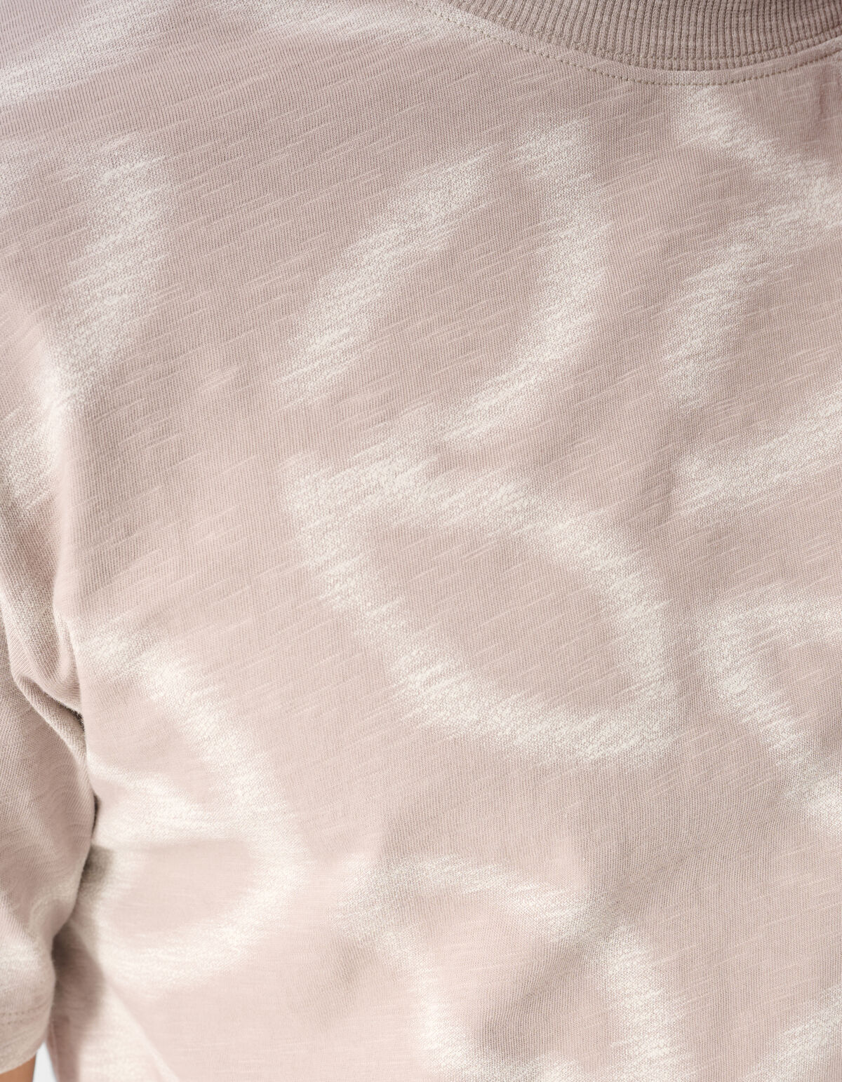 Blurred Logo T-shirt Lichtbruin