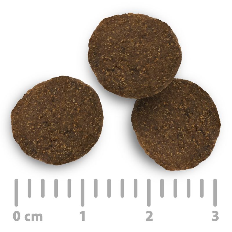 Offre d'essai : croquettes Purizon sans céréales, 400 g pour chien