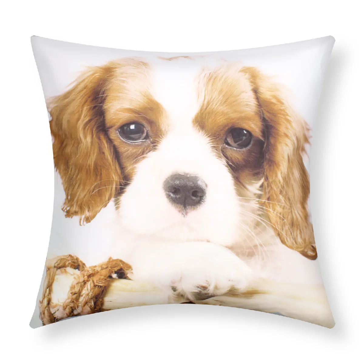 AVIZAR Lot 2 Housses Coussin Chien King Charles
