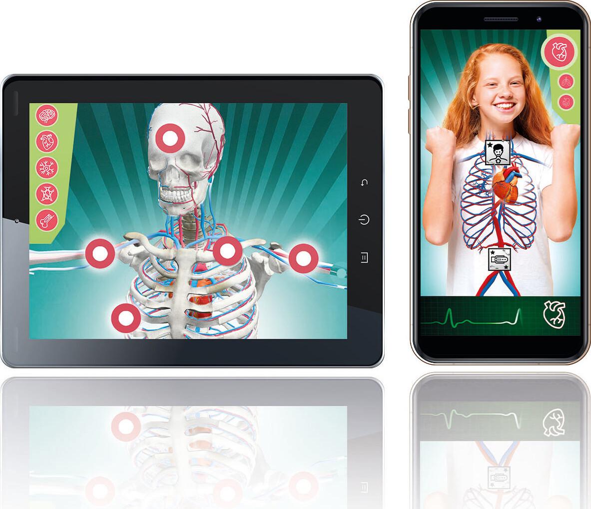 Clementoni - Anatomi Legesæt - Anatomy Lab - Science & Play