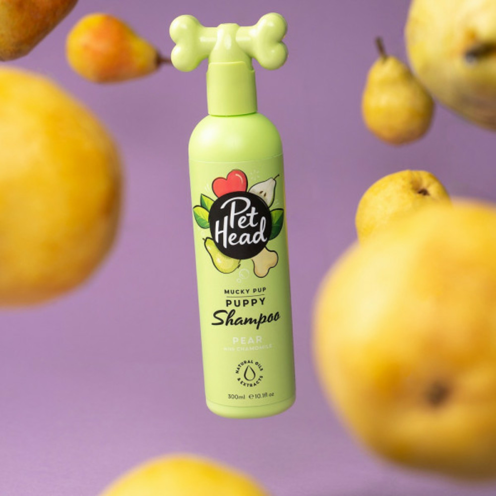 Shampooing mucky puppy camomille (300 ml)