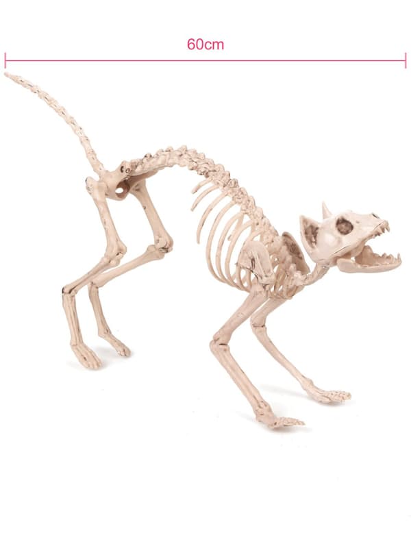 Skremmende katte-skjelett – Halloweenpynt. Size-Standard