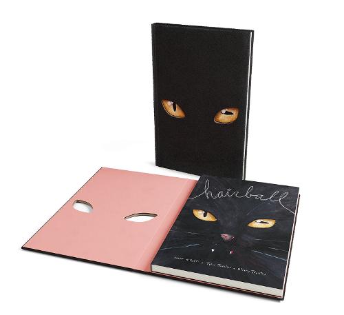 Hairball (Hardback)