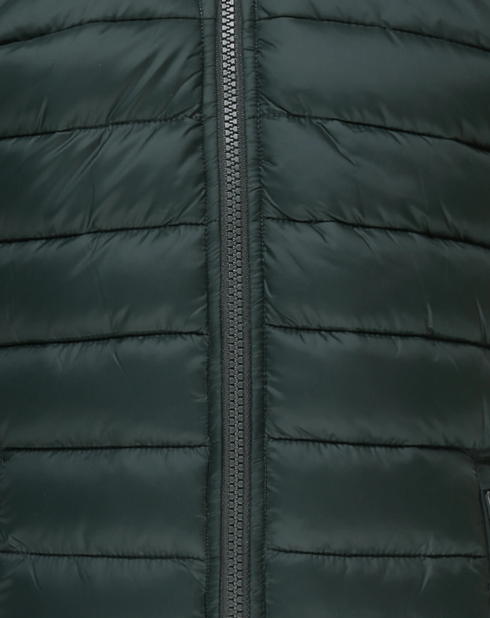 Steppjacke LEMY GIRE in green black