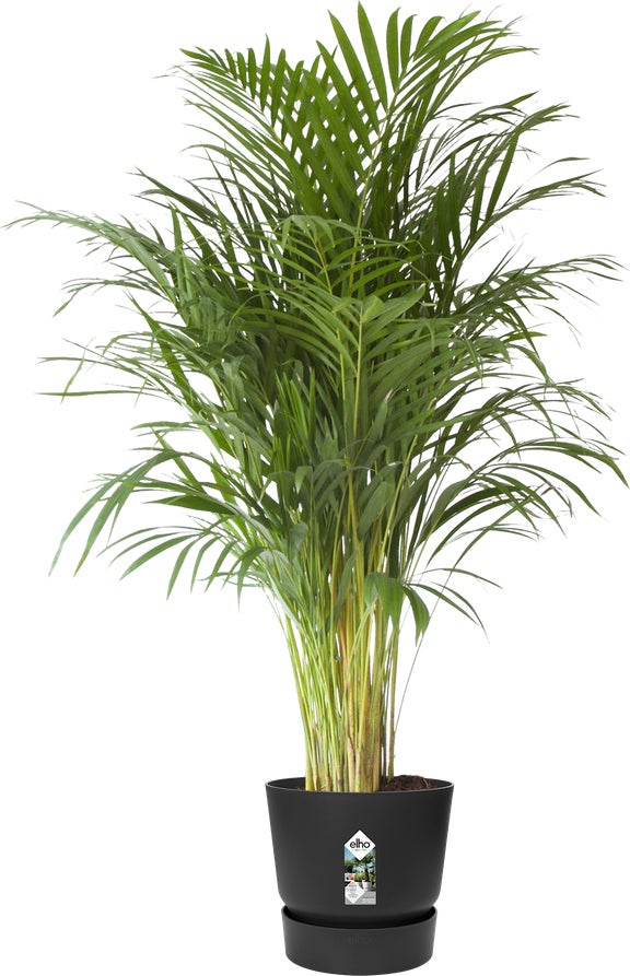 Elho bloempot Greenville zwart D 39 H 36,8 cm