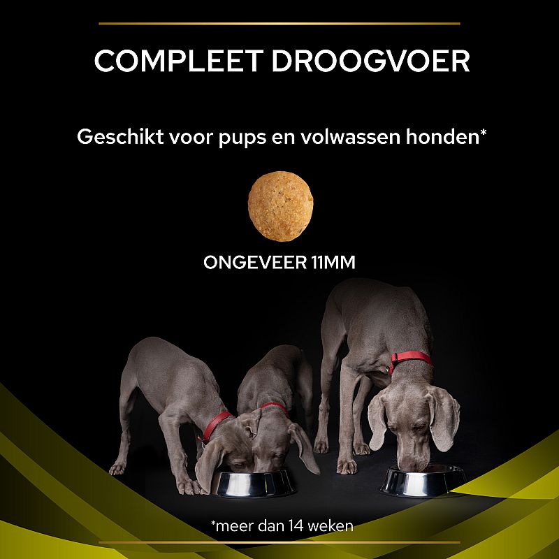 Purina Pro Plan Veterinary Diets Canine HP Hepatic Hondenvoer 3 kg | 10892