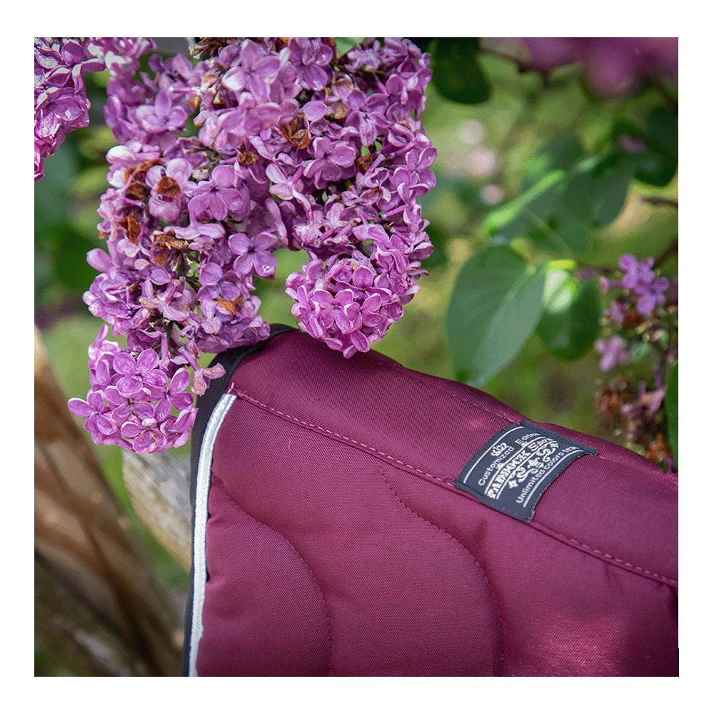 Paddock Sports ORIGINE - Tapis mixte prune