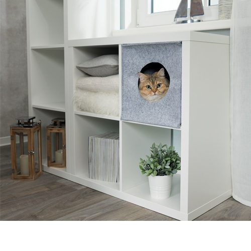 Trixie Kattenhuis Anton