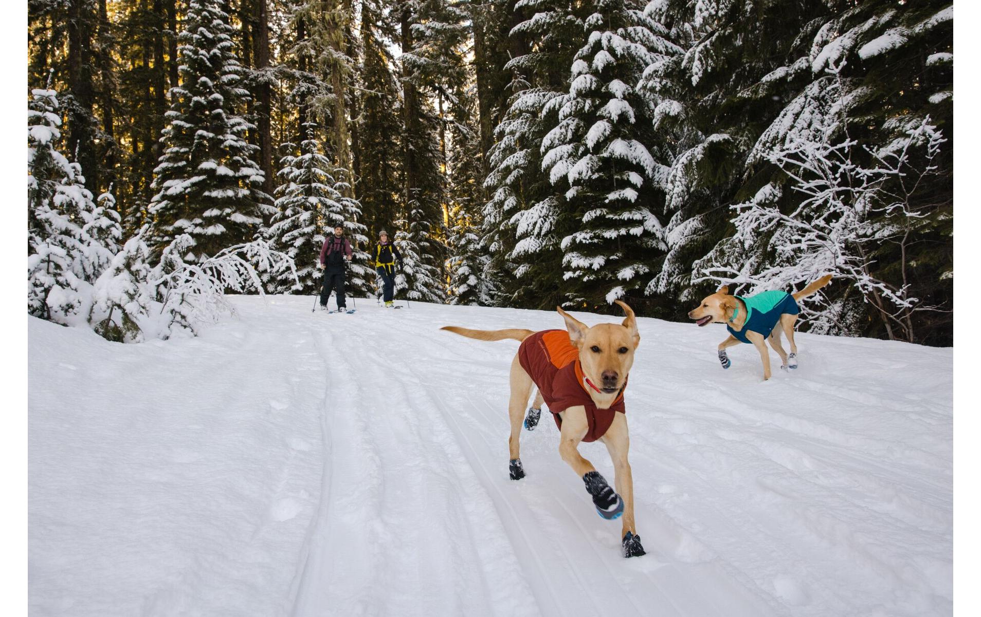 Wintermantel Vert, S, Aurora TealWärmender und wasserdichter Hundemantel