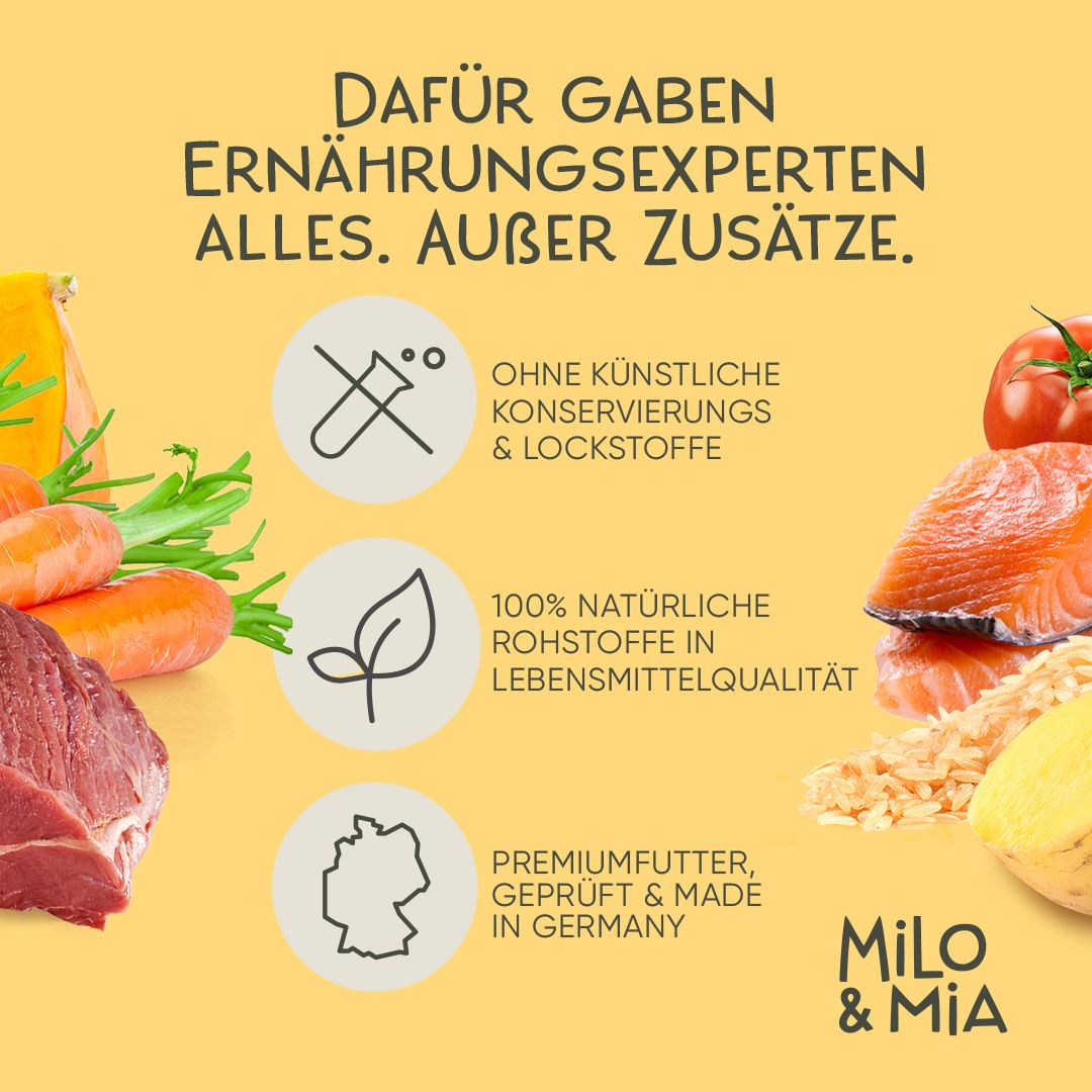 Milo & Mia - Premium Nassfutter für Hunde - Kalb, Kürbis & Hirse