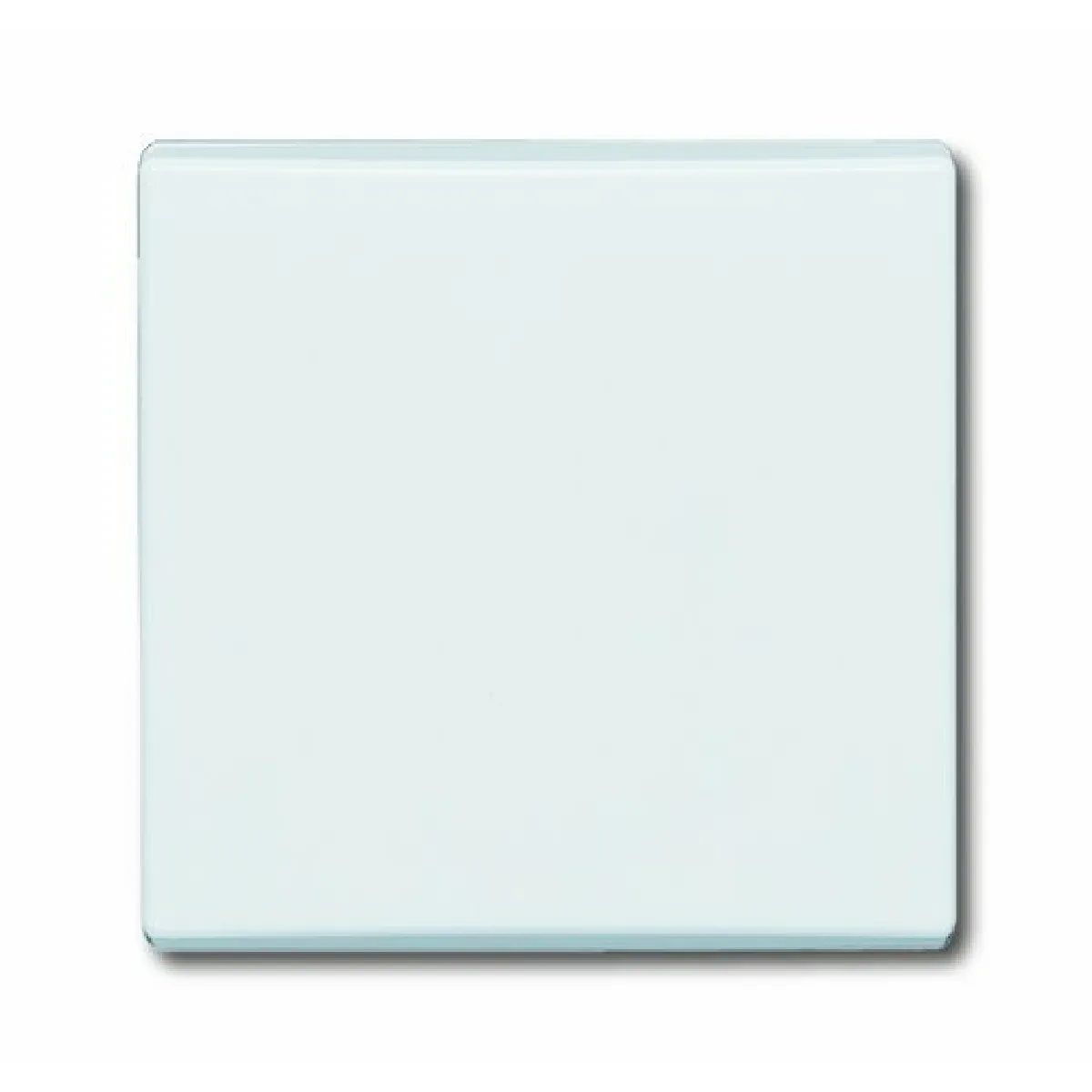 Busch-Jaeger Plaque recouvrement IP44 2106-32