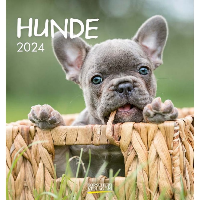 Postkartenkalender - Hunde - 2024