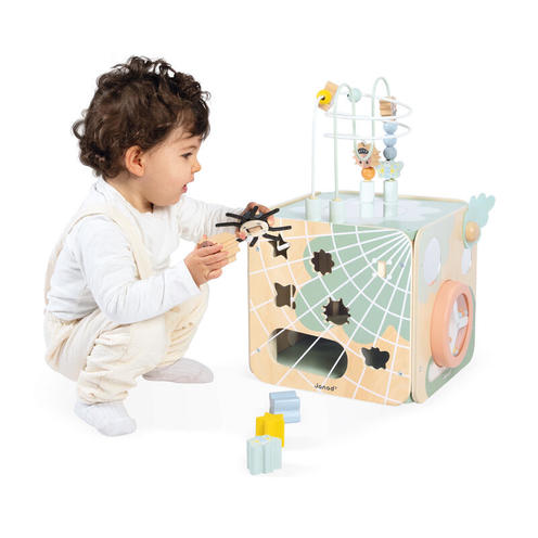 Maxi cube multi activités - JANOD