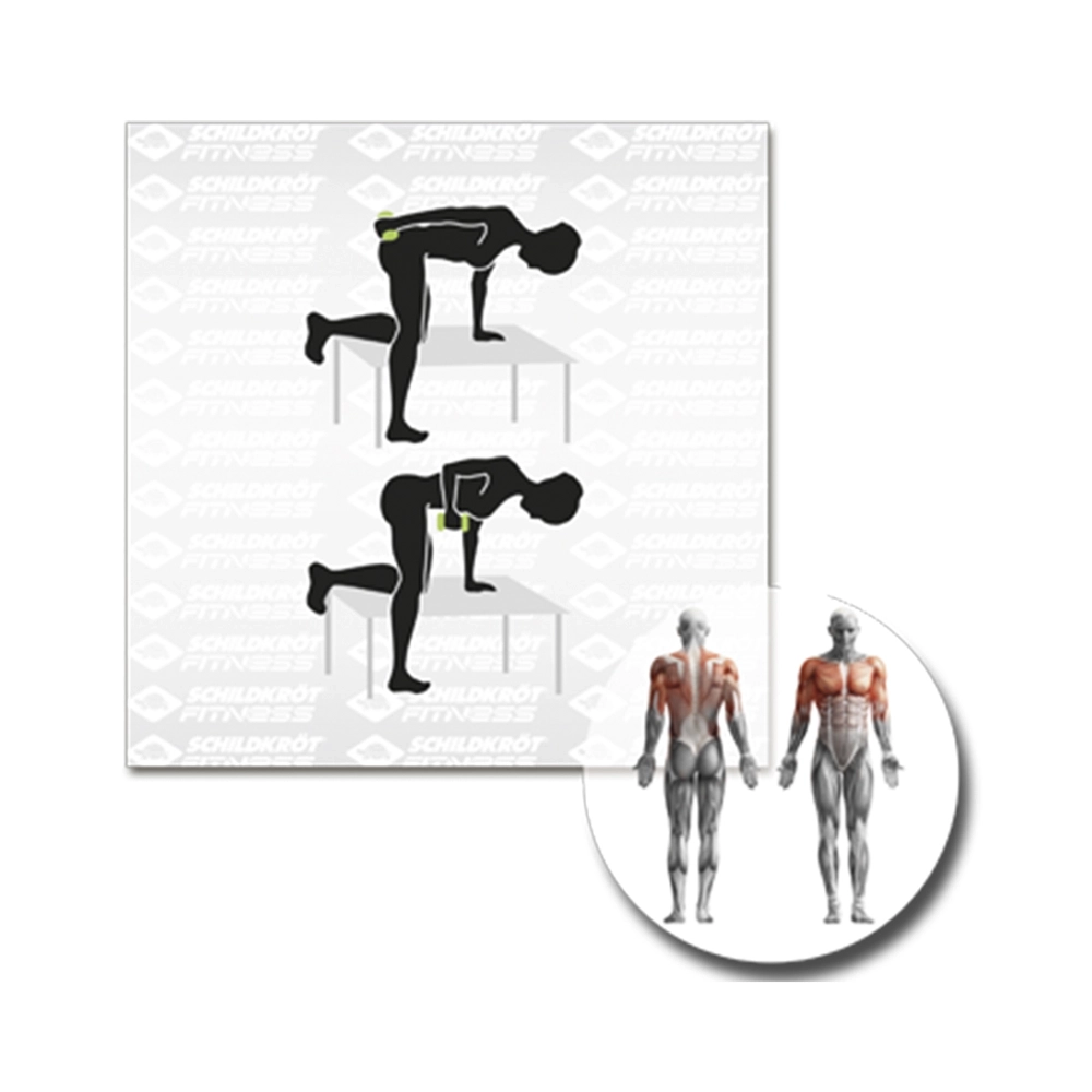 Schildkröt Vinyl Hanteln 3.0kg 2er Set