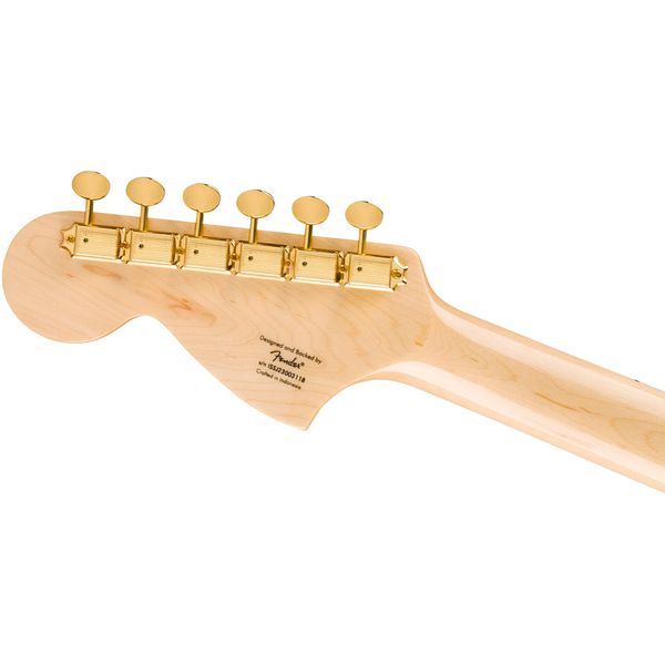 Squier LE Paranormal Tele Dlx BLK