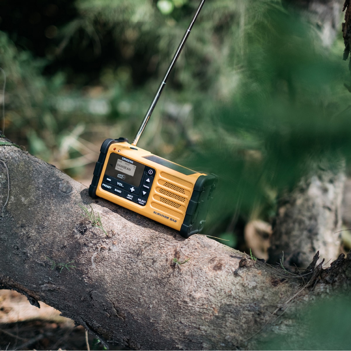 Sangean MMR-88 digitalradio (oransje)