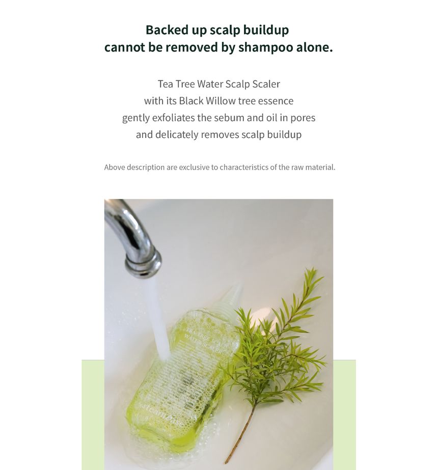 STEAMBASE - Tea Tree Scalp Water Scaler