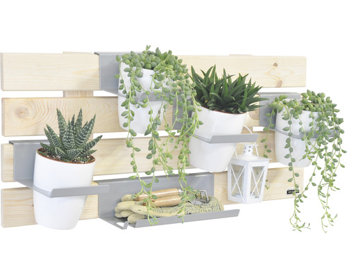 Designelement Wagner System Greenwall 79 x 31 cm grenen