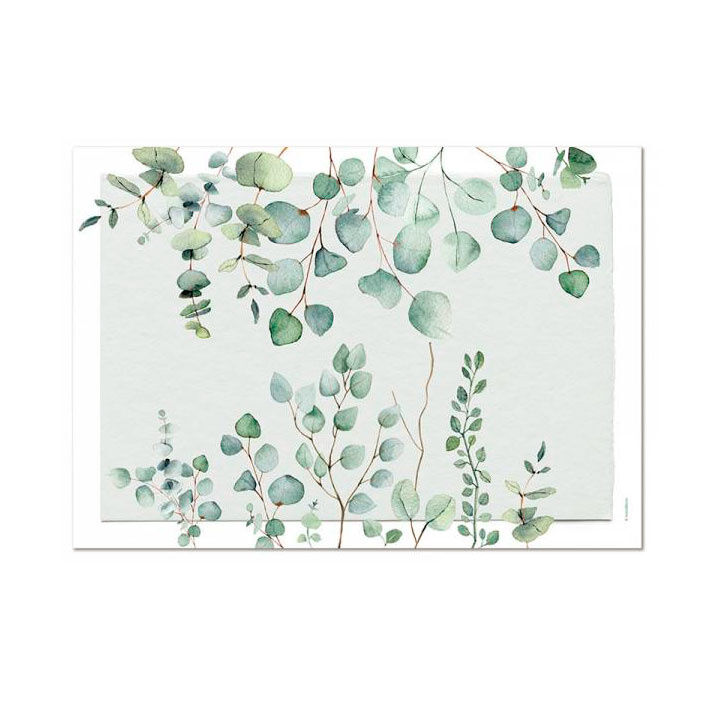 Papiertischset Eucalyptus