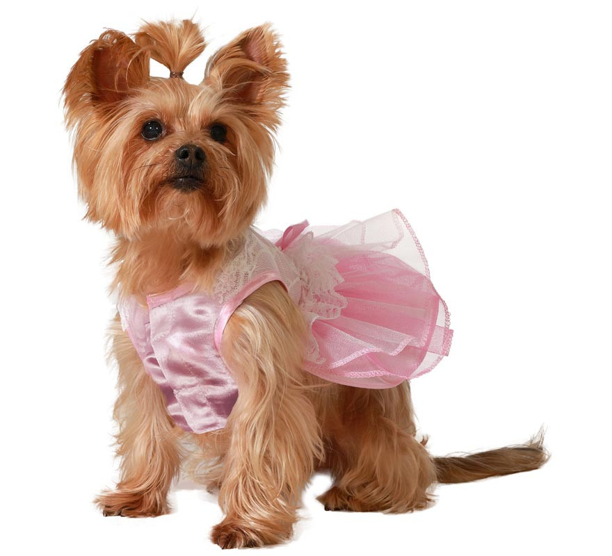 Fantasia de Princesa Rosa Atosa para Cães