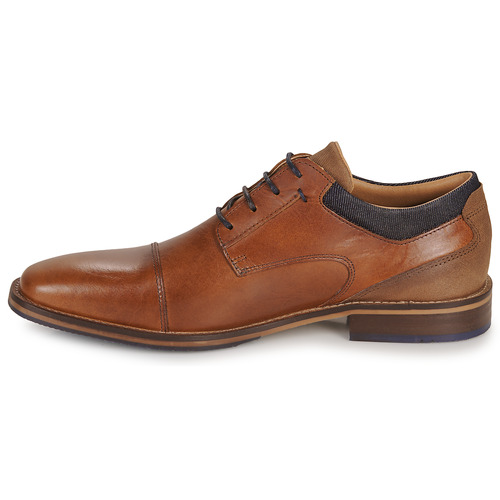 Bullboxer - CONA - Camel / Marine