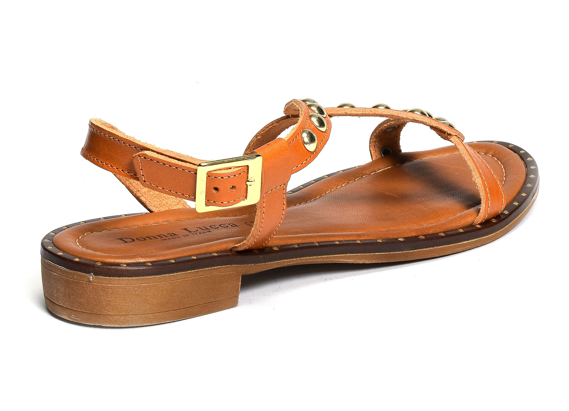 1360 camel